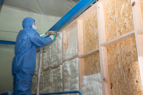 Best Insulation Contractor Near Me  in Westwego, LA