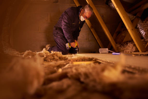 Best Insulation Removal  in Westwego, LA